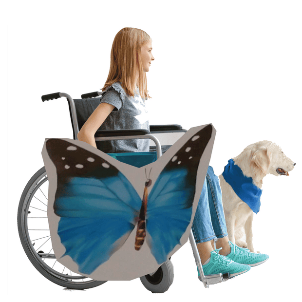 Blue Butterfly 2 Wheelchair Costume Child's
